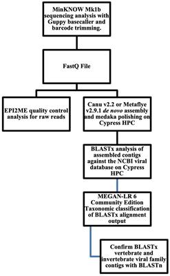 Comparison of de novo assembly using long-read shotgun metagenomic sequencing of viruses in fecal and serum samples from marine mammals